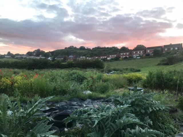 Healing Waters Sanctuary For Exclusive Private Hire And Self Catering Board, Vegetarian, Alcohol & Wifi Free Retreat In Glastonbury Exterior foto